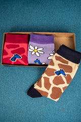 Box of 3 pairs of socks - Zarafa